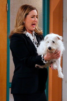 Ain't Nothin' But a Hound Dog