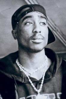 Out the Trunk: The Bay