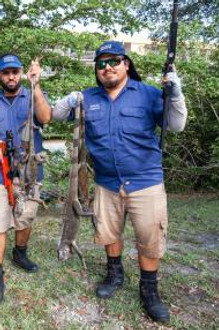 Combat Surgeon / Iguana Hunter