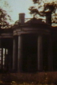DS-333