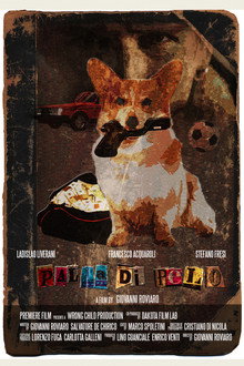 Palla di pelo poster