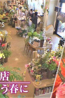 Ikebana Shop, Miyagi, In the Spring When I Think of You