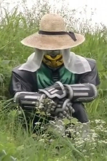 Ma'am, How About Some Fireworks?