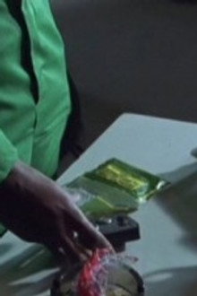 The Seventh Division