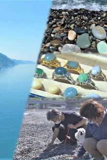 Nature's Treasure Hunt on a Niigata Beach