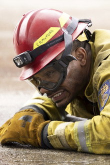 Like a Wounded Wildebeest