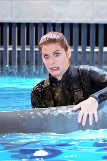 Accidentally on Porpoise