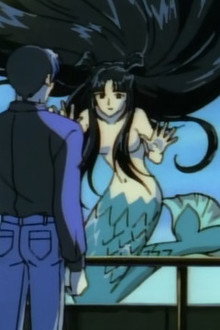 Dream of the Mermaid