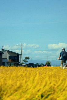 Higashikawa: Picture-Perfect Town