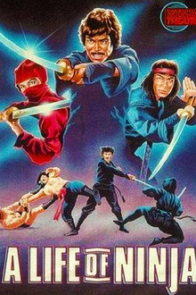 Deadly Life of a Ninja poster