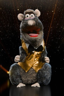 Rat-o-Vision Song Contest