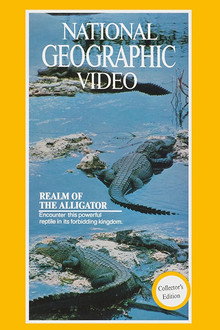 Realm of the Alligator poster