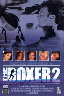 The Boxer 2 poster