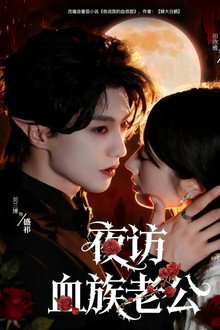 夜访血族老公 poster