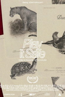 Play It Safe poster