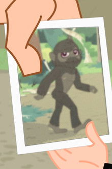 Littlest Bigfoot