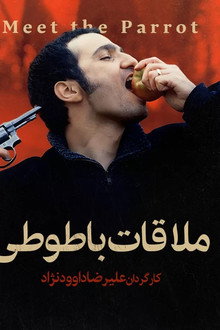 Meeting the Parrot poster