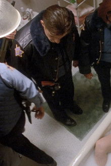 Frank the Potato Man