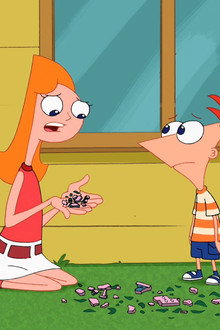 Candace Disconnected