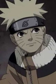 The Bewildering Forest