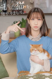 I’m Taking Care of My Ex’s Cat. poster