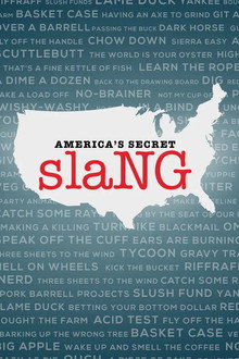 America's Secret Slang poster