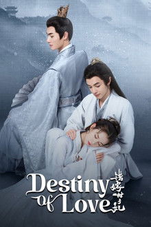 Destiny of Love poster