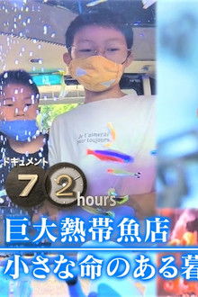 Giant Tropical Fish Store: A Life with Small Lives