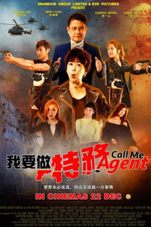 Call Me Agent poster