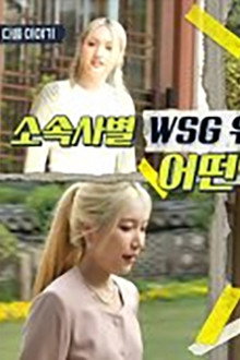 WSG Wannabe (11)