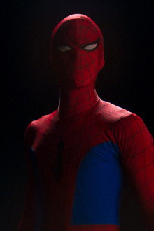 The Japanese Spider-Man