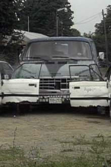 Running Of The Bulls