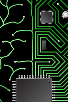 How Does the Brain Work?