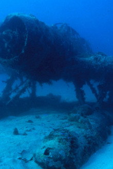 War Wrecks in the Coral Seas