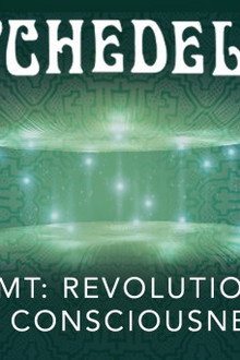 DMT: Revolution of Consciousness
