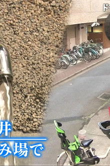 Tokyo, Koganei: At the Neighborhood Water Pumping Station