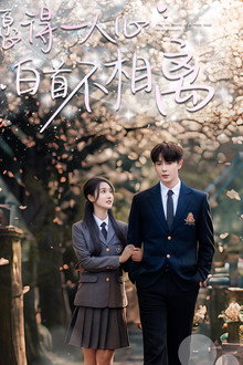 愿得一人心白首不相离 poster