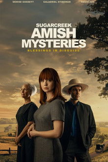Sugarcreek Amish Mysteries: Blessings in Disguise poster