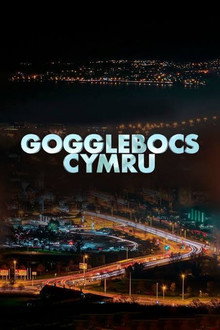 Gogglebox Wales poster