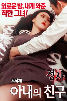 An Affair: My Wife's Friend 2 poster