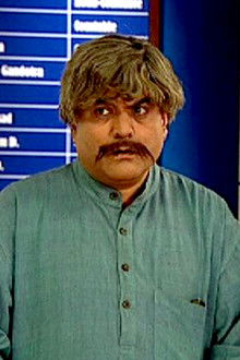 Fir Against a Gambler