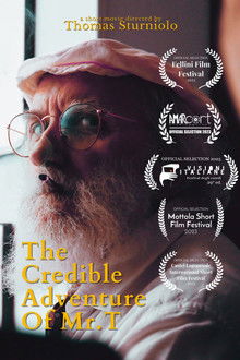 The Credible Adventures of Mr. T poster