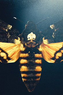 The Silence of the Lambs