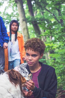 The Call of the Wild