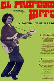 The Hippie Teacher poster