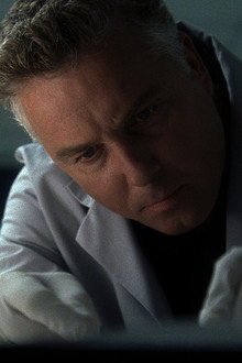 The Execution of Catherine Willows