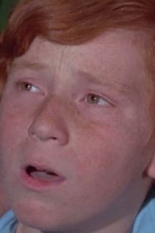 Did You Hear the One About Danny Partridge?