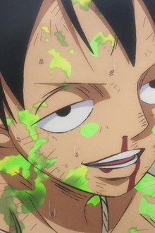 We’re Here to Win! Luffy's Desperate Scream!