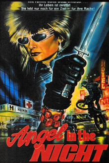 Angel in the Night poster