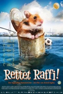 Mi amigo Raffi (2015)